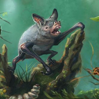 Artist’s impression of a New Zealand burrowing bat, Mystacina robusta