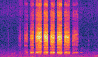Spectrogram of a possum vocalisation
