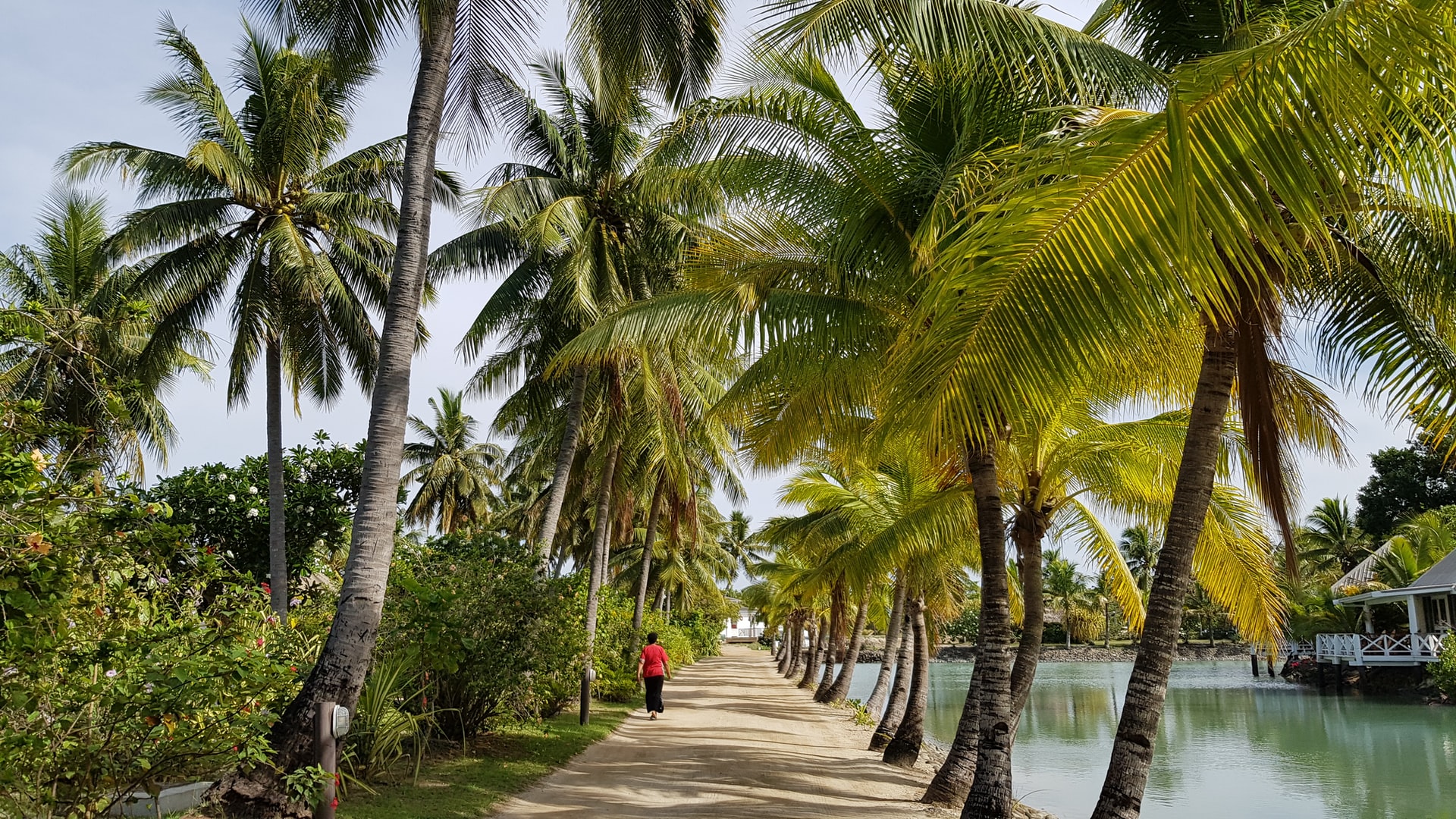 PHOTO: Timothy Ah Koy/Unsplash