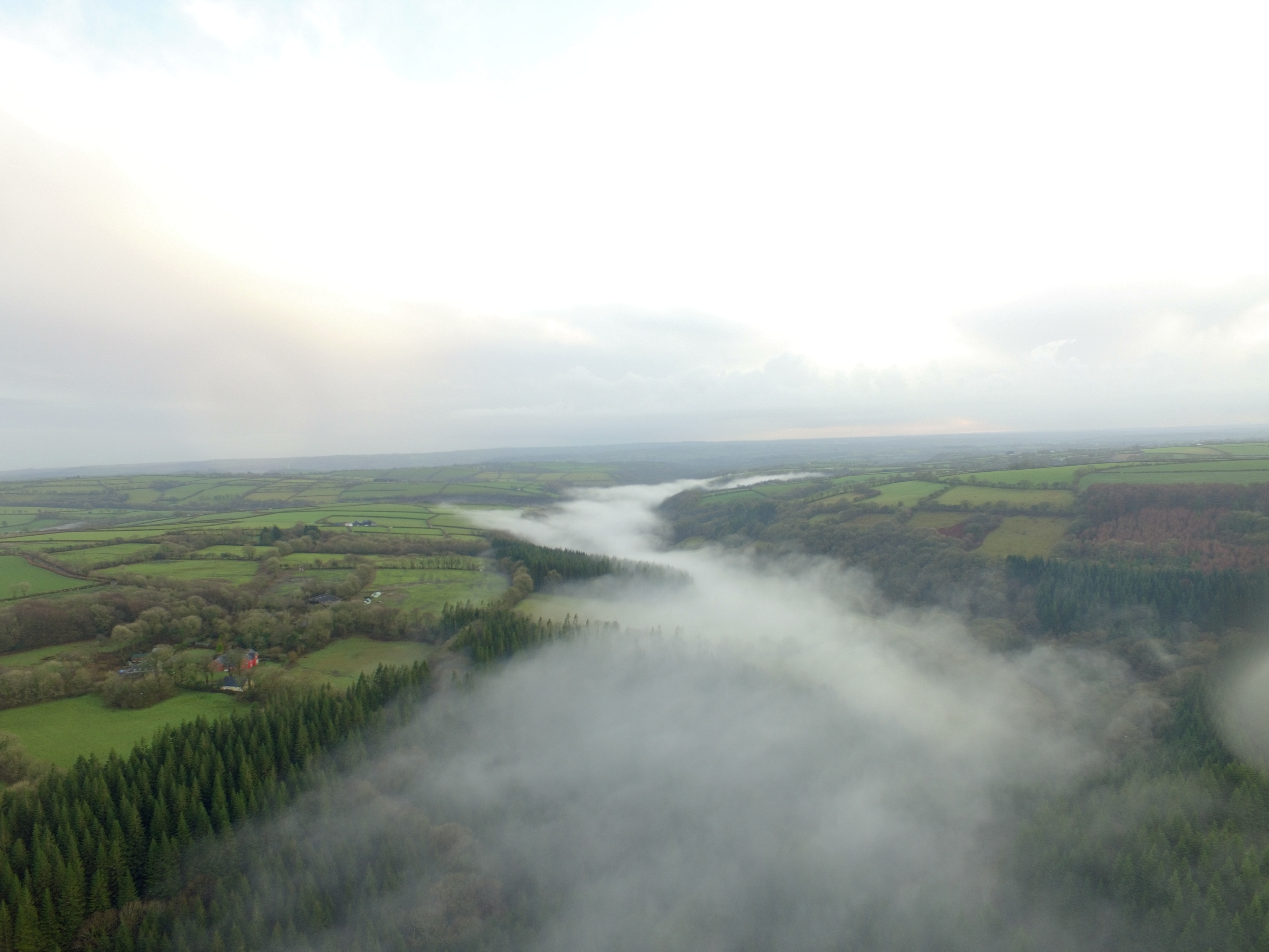 The Welsh countryside near the Coed Cochion Quarry, where the fossils were found.