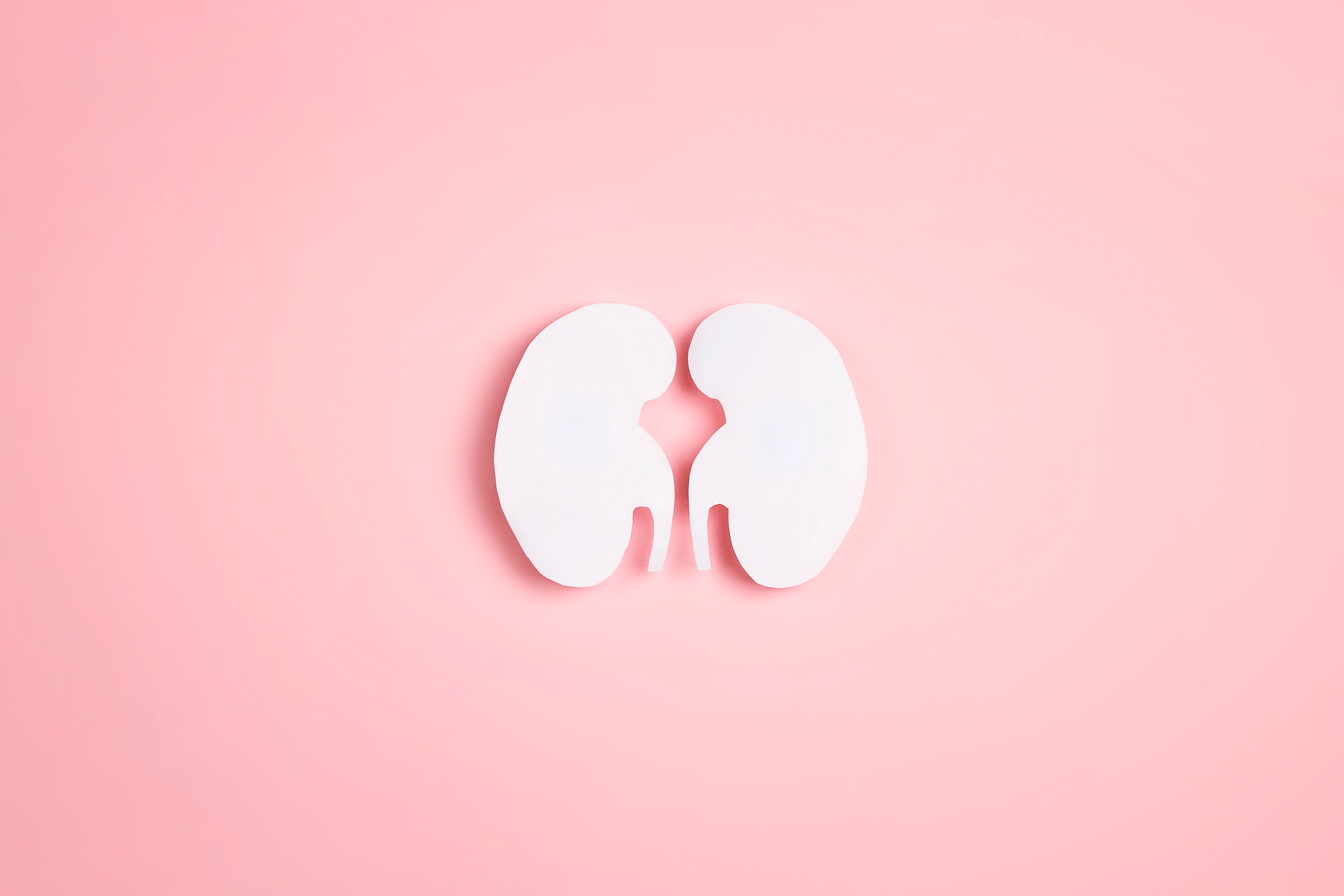 Credit: Shutterstock