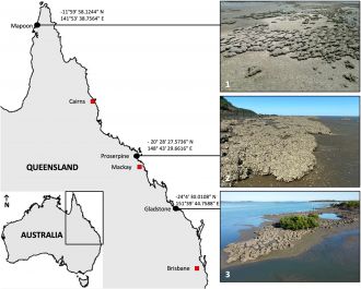  Locations of tropical oyster reefs characterised in Queensland.