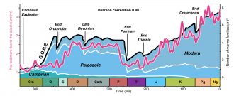 Ocean sediment vs marine biodiversity over 500 million years