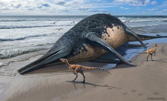 A washed-up Ichthyotitan severnensis carcass on the beach