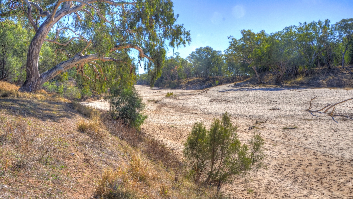 The Maranoa River south of Mitchell, Queensland, during the 2017 drought. Credit: Chris Fithall (Flickr Creative Commons CC BY 2.0)