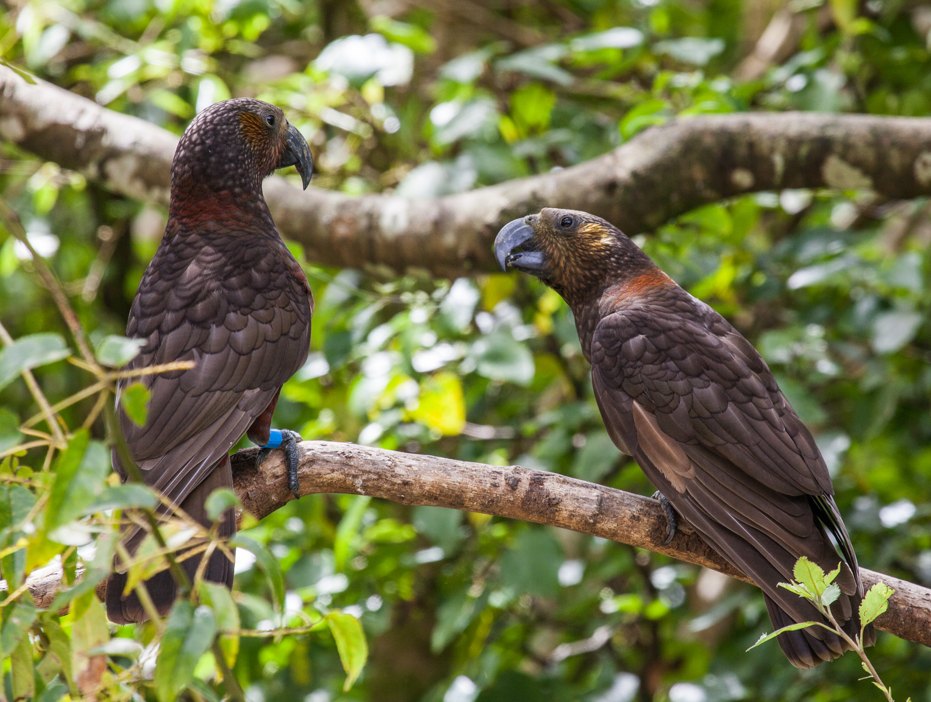 PHOTO:  Flickr/Russellstreet