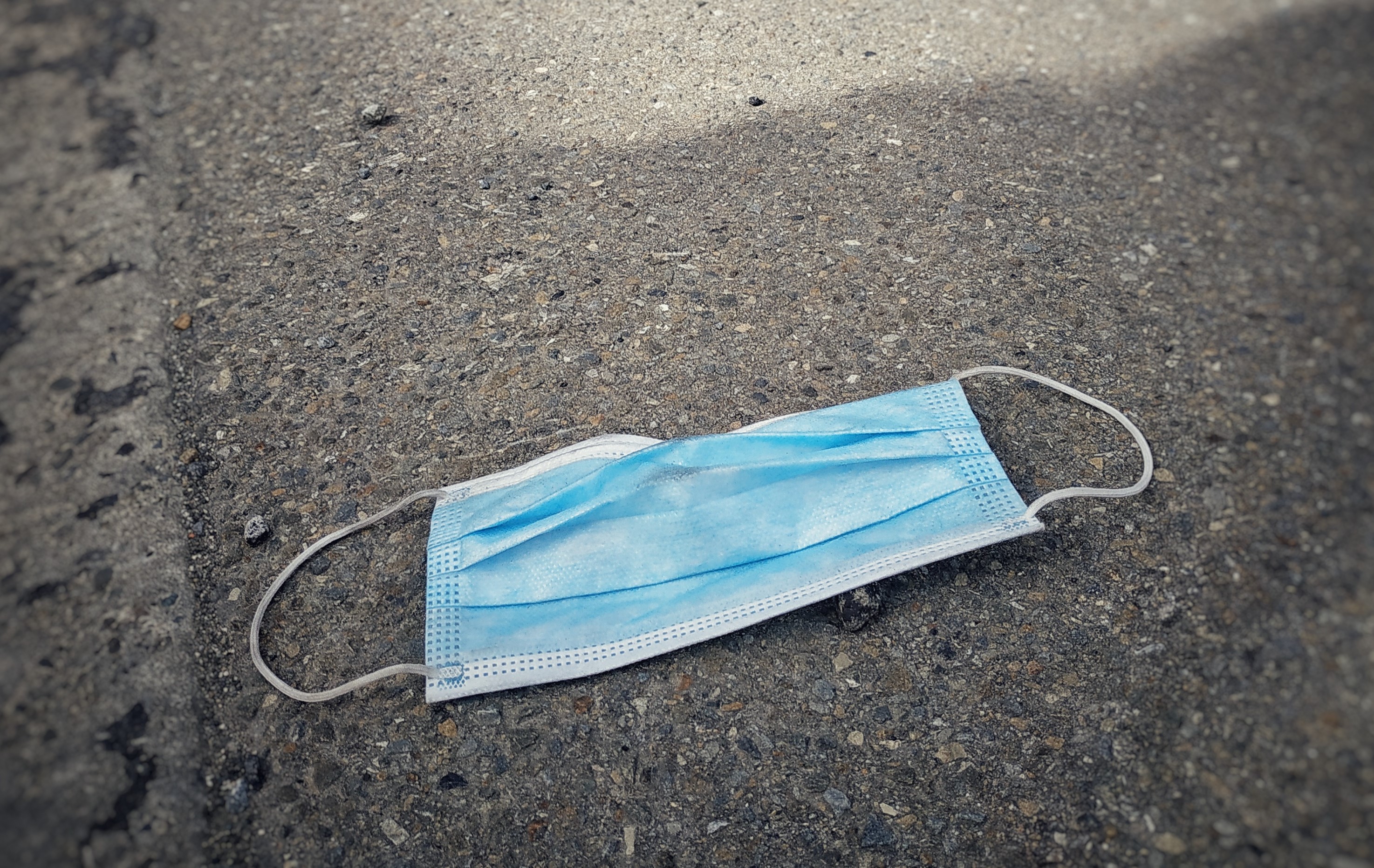 Photo: Alix Campbell