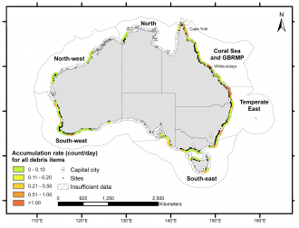 The accumulated count (per day) of all debris averaged per clean-up site