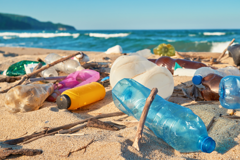 The study was made possible thanks to more than 2000 organisations and 150,000 citizen scientists who sorted and tallied up marine debris they collected as part of the Australian Marine Debris Initiative. Photo: Shutterstock.