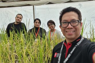 Dr Vito Butaro (far right) growing rice grains with members of the research team