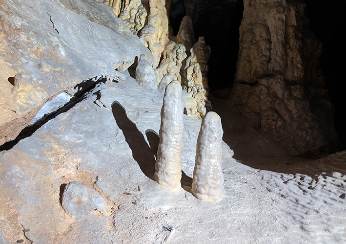 Stalagmites on average have grown one metre over the last 11,000 years. These two are in Yonderup Cave, Yanchep, Western Australia. Photo: Andy Baker/UNSW