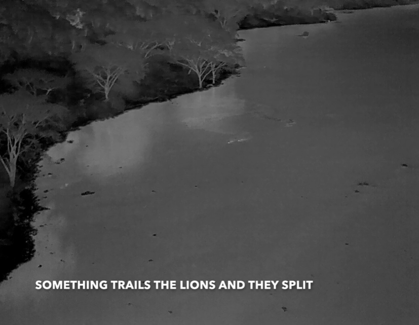 Aerial heat detection of Jacob and Tibu being stalked crossing the river. Credit: Alexander Braczkowski