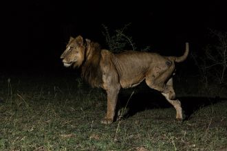 Jacob, with amputated leg. 