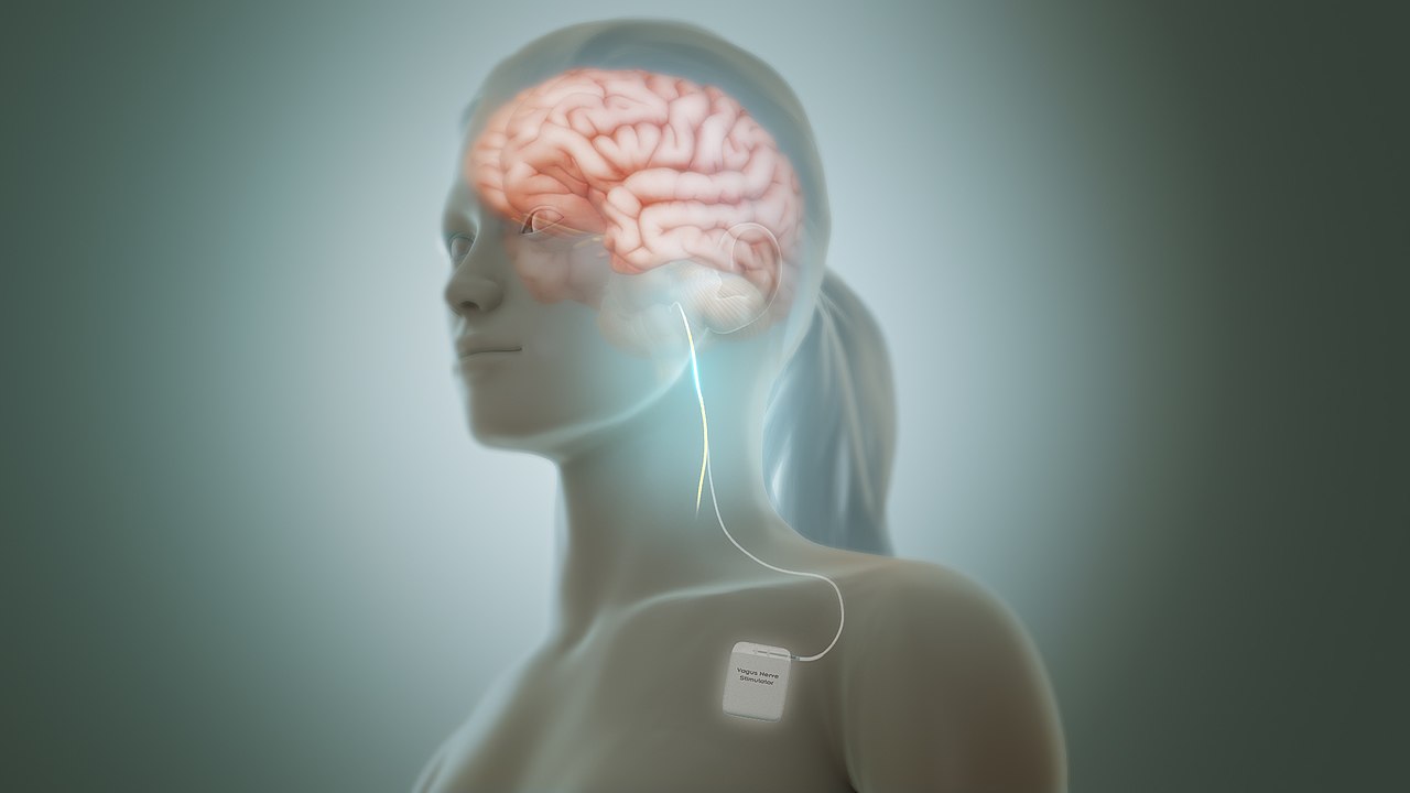 Scientific Animations