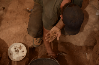 Remains found at the site during excavations