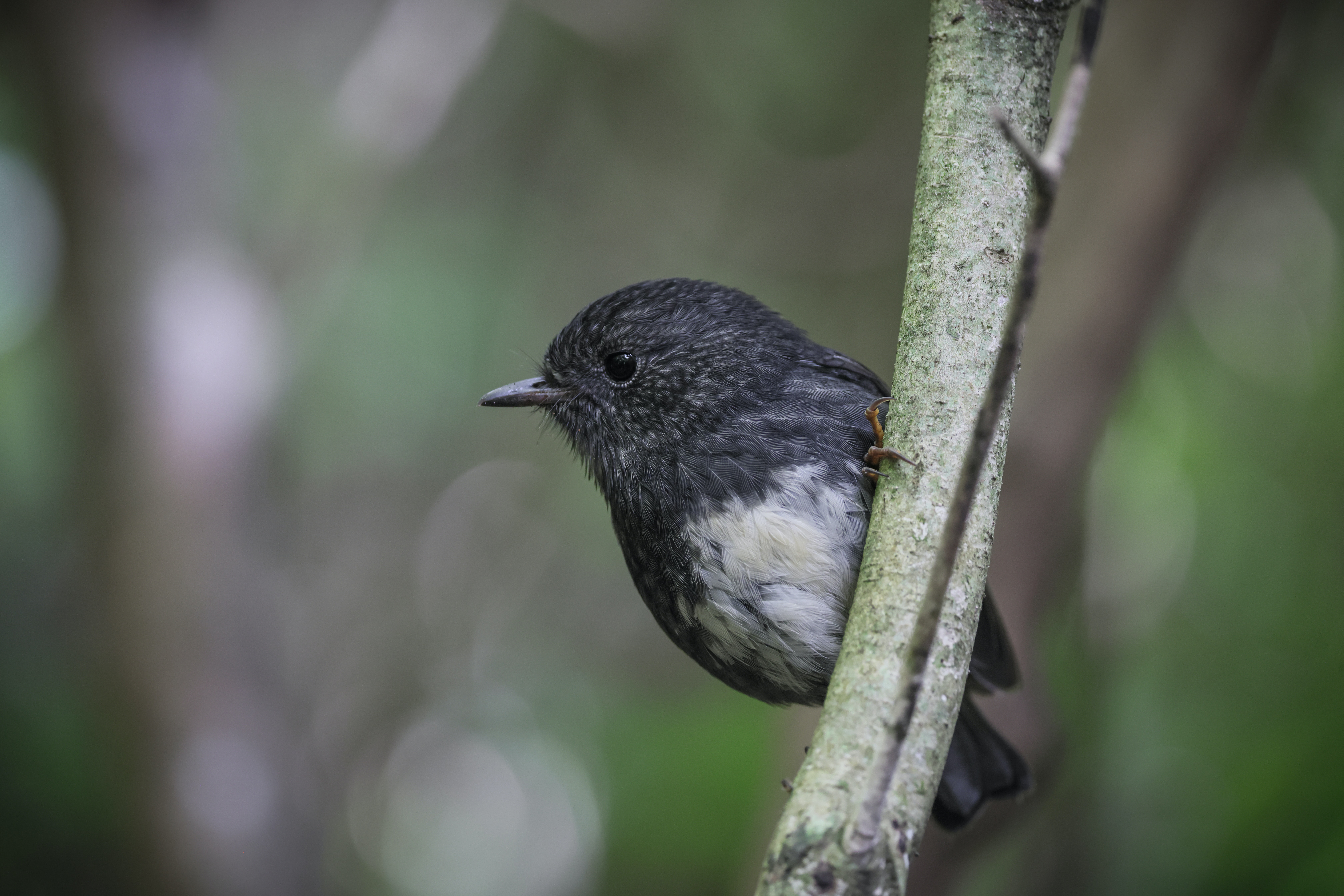 Image by Tony Stoddard on UnSplash