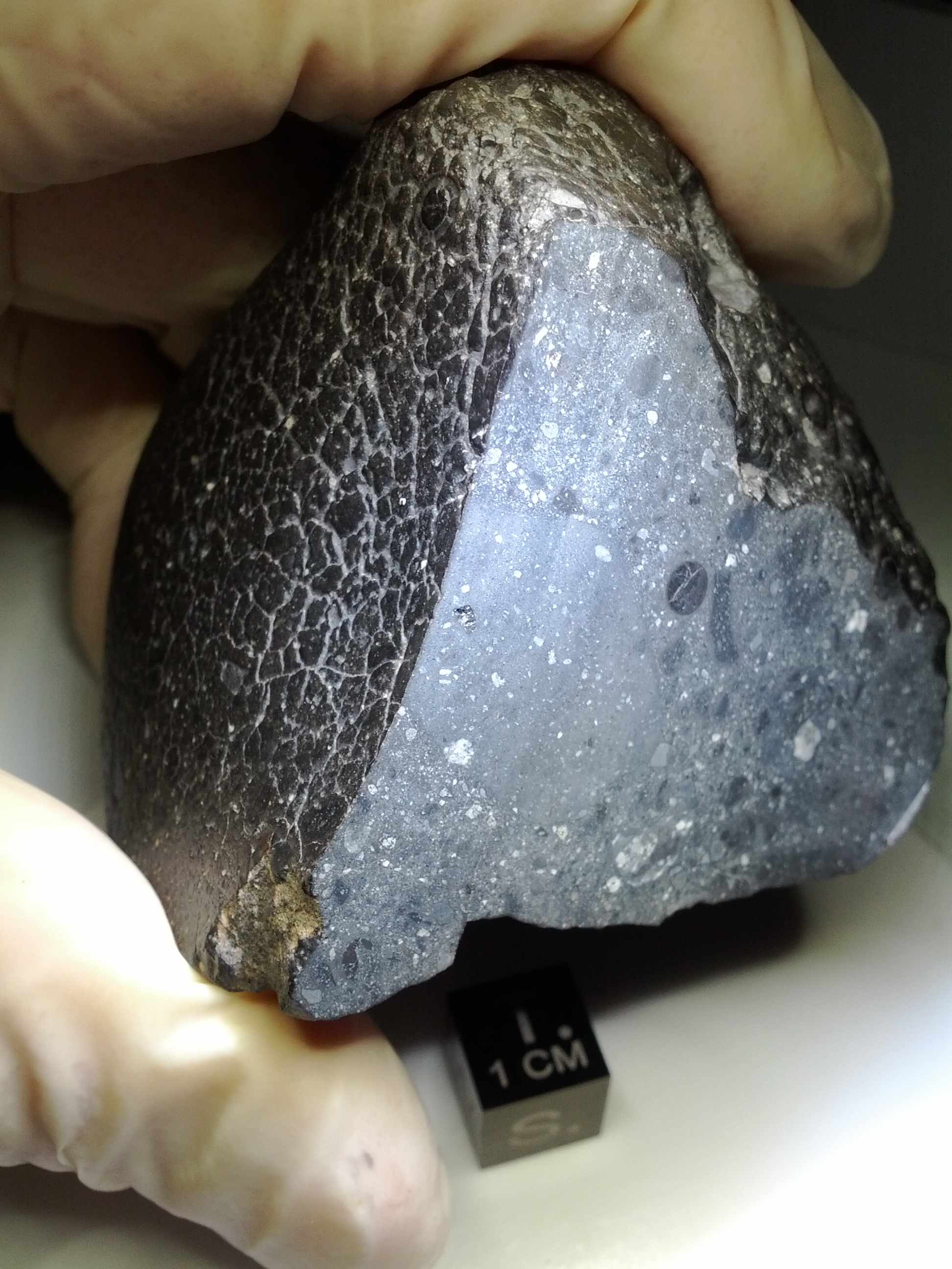 Fragment of Black Beauty meteorite. Credit: NASA. 