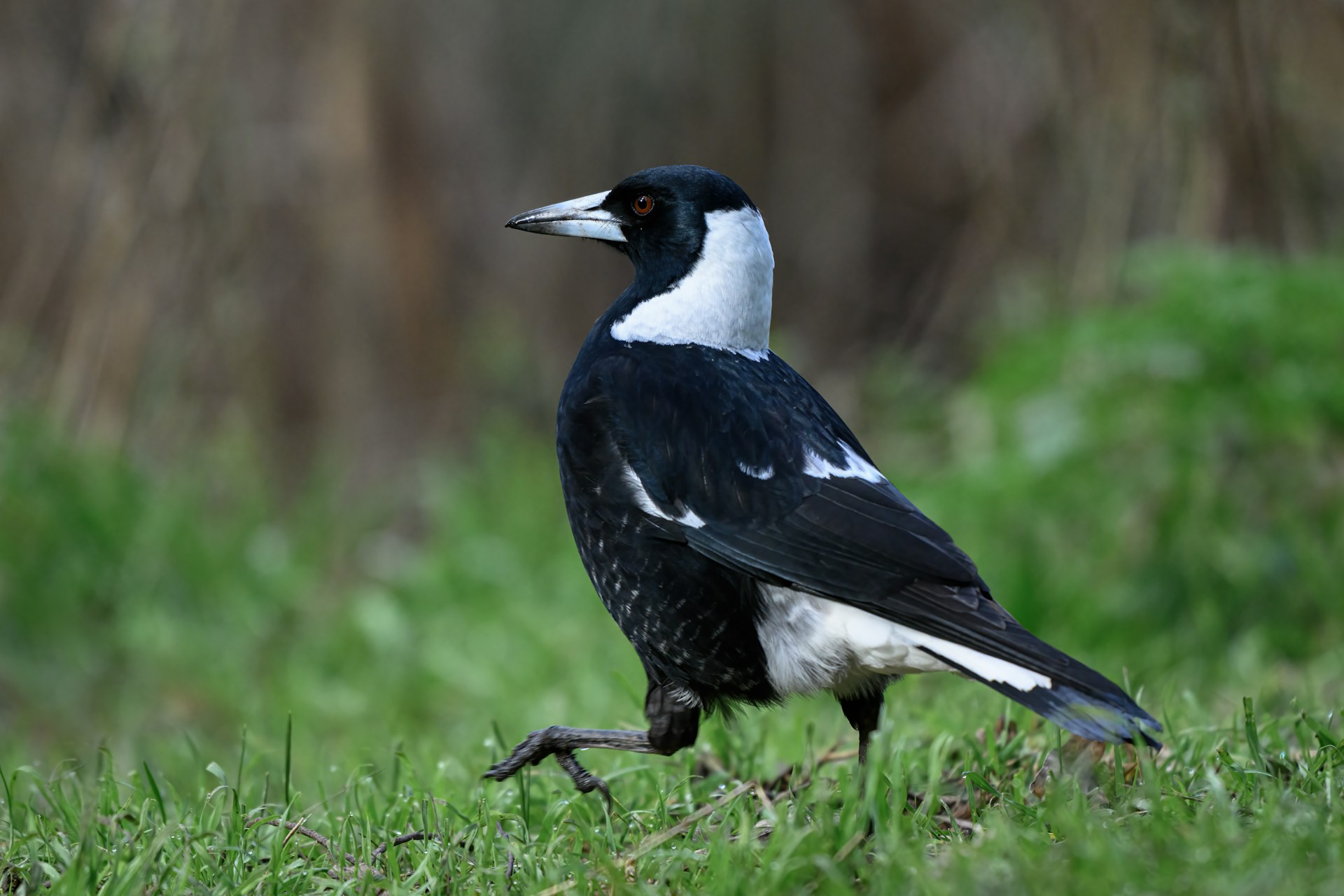 PHOTO: Pen Ash/Unsplash