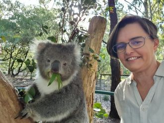 Adelaide Hills koalas