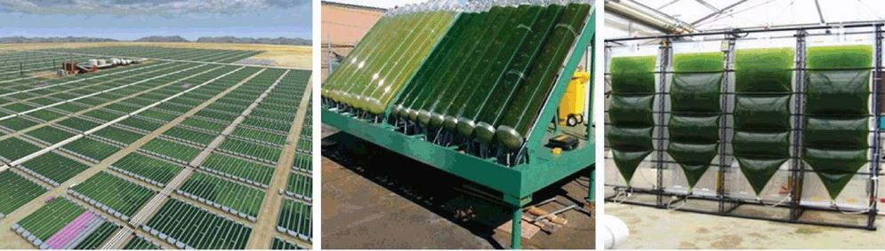 Industrial scale micro-algal bioreactors.