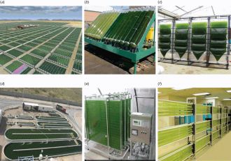 Industrial scale micro-algal bioreactors.