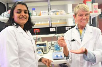 Centre for Marine Bioproducts Development researchers