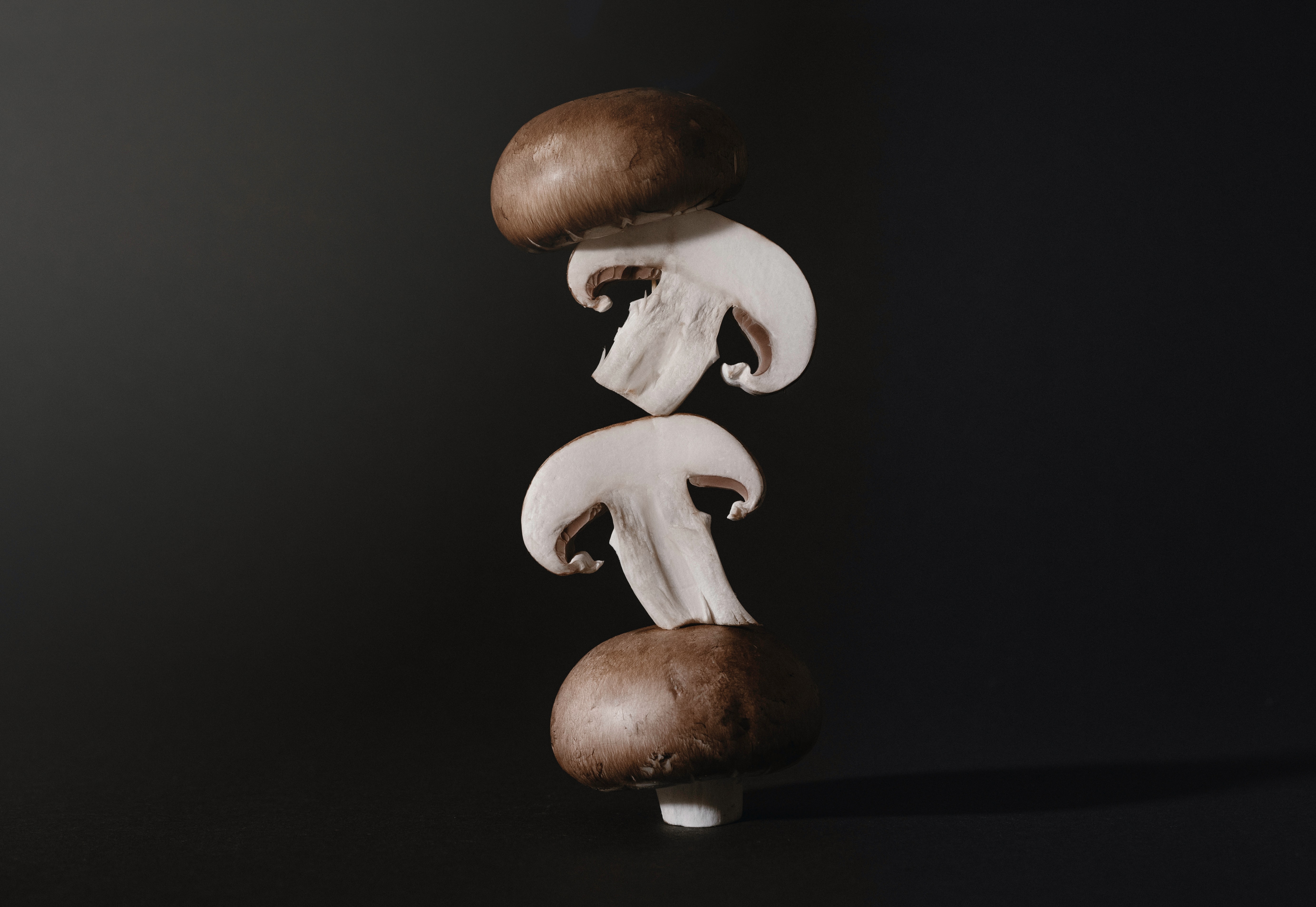 Credit: Giorgi Iremandze/Unsplash