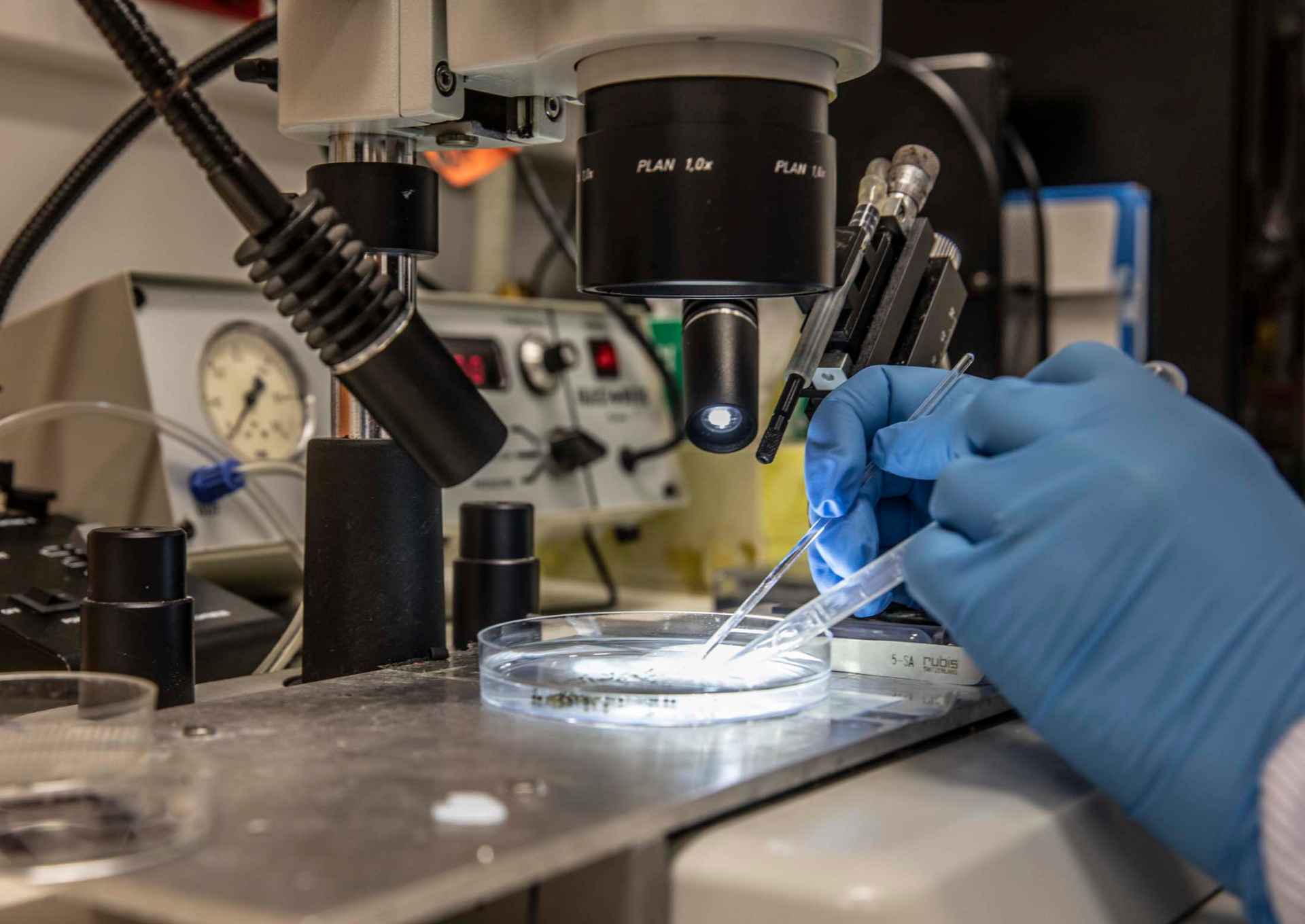 Supplied by The Florey