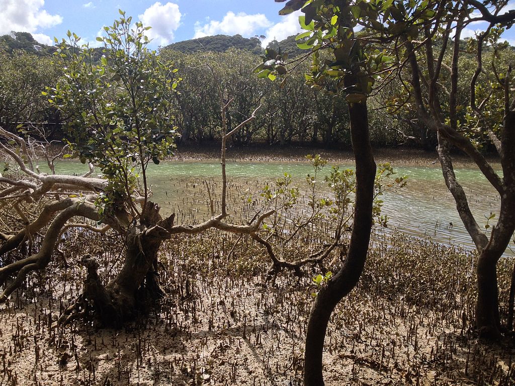 MurielBendel, CC BY-SA 4.0, via Wikimedia Commons