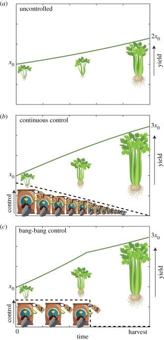 Illustration of crop production