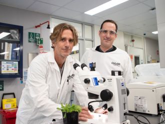 Dr Chris Brosnan and Stephen Fletcher in the laboratory. Image: Megan Pope, UQ