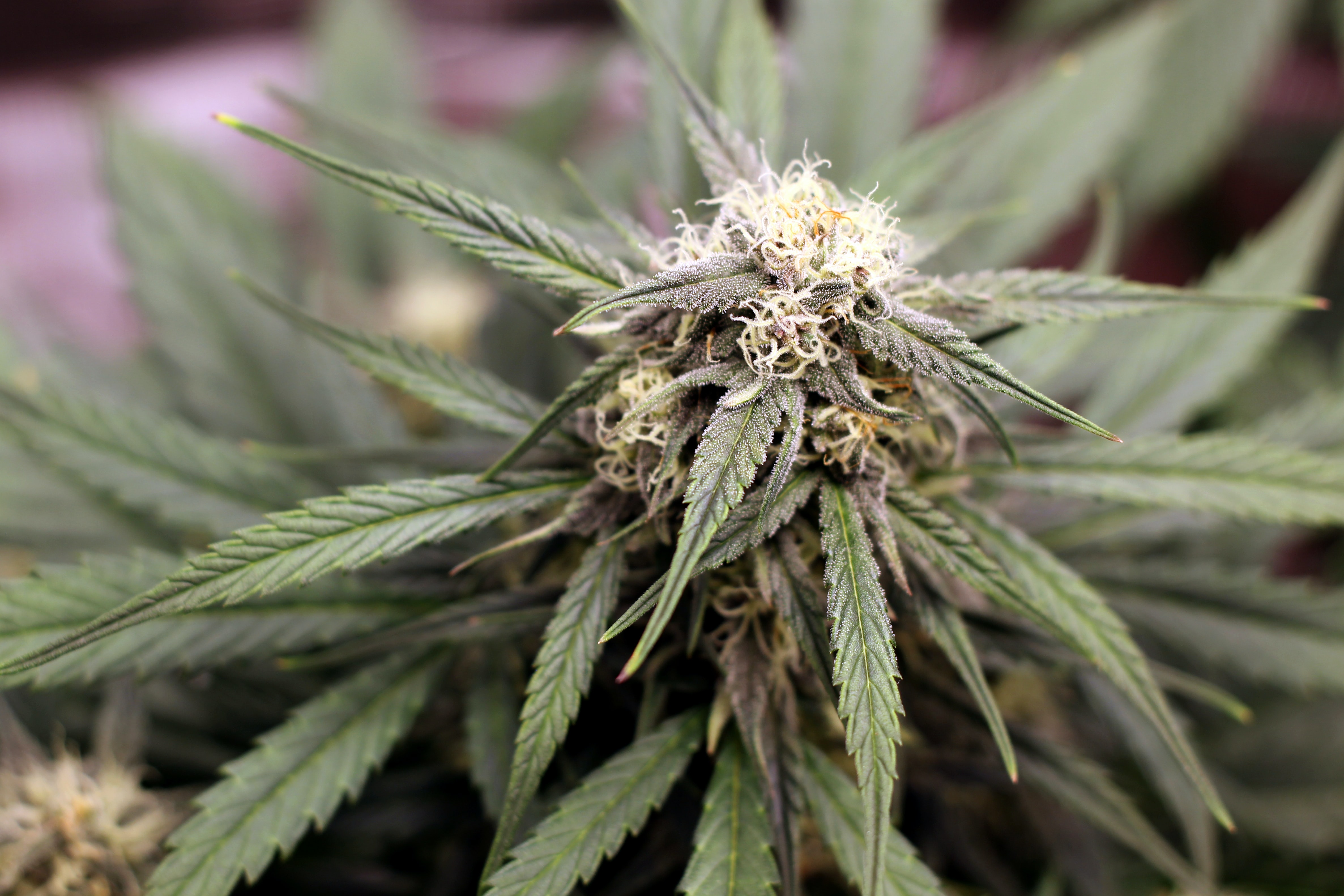 Photo by  Jamie Edwards on Unsplash