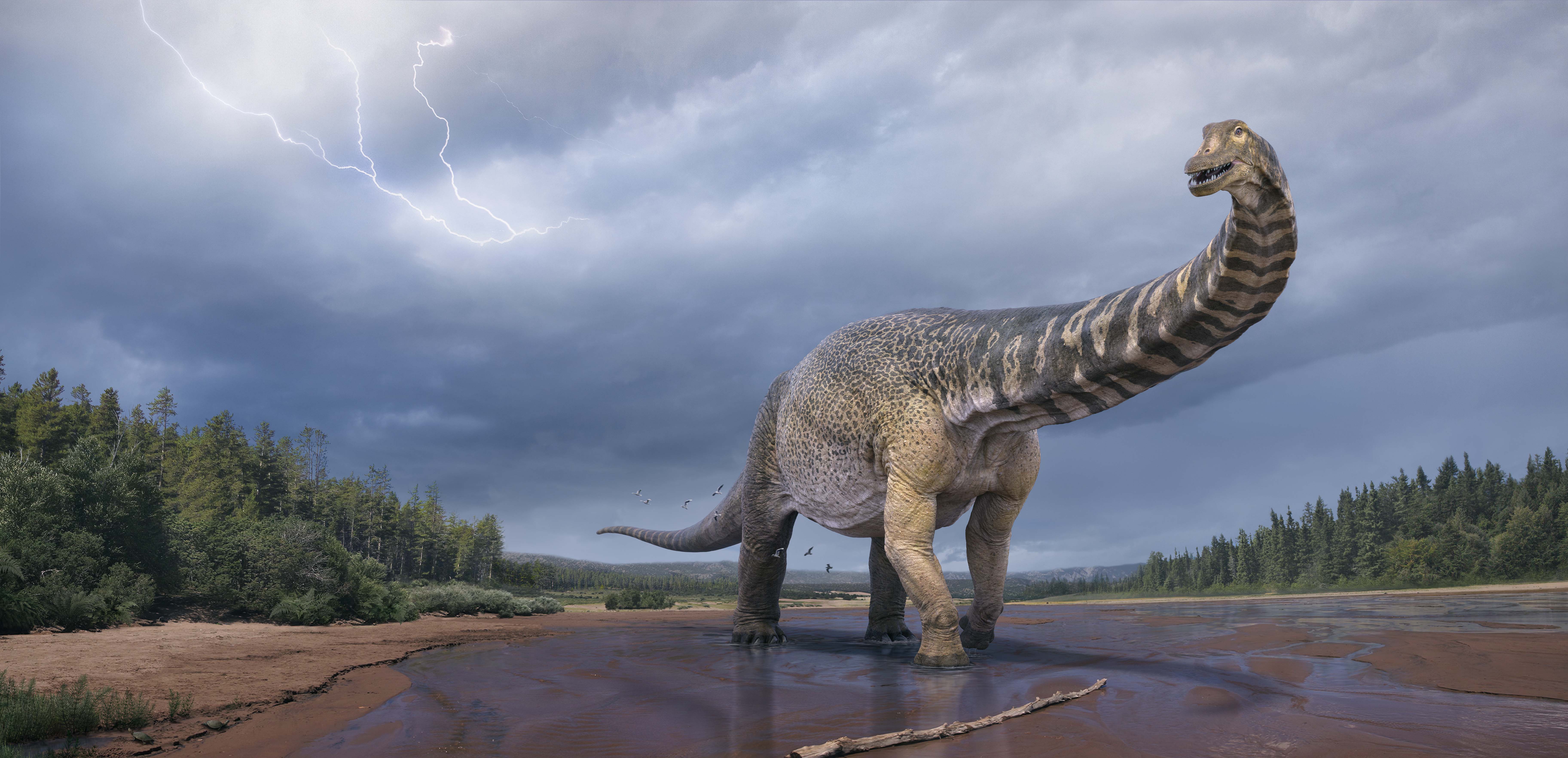 Credit: © Eromanga Natural History Museum, Artist Vlad Konstantinov.