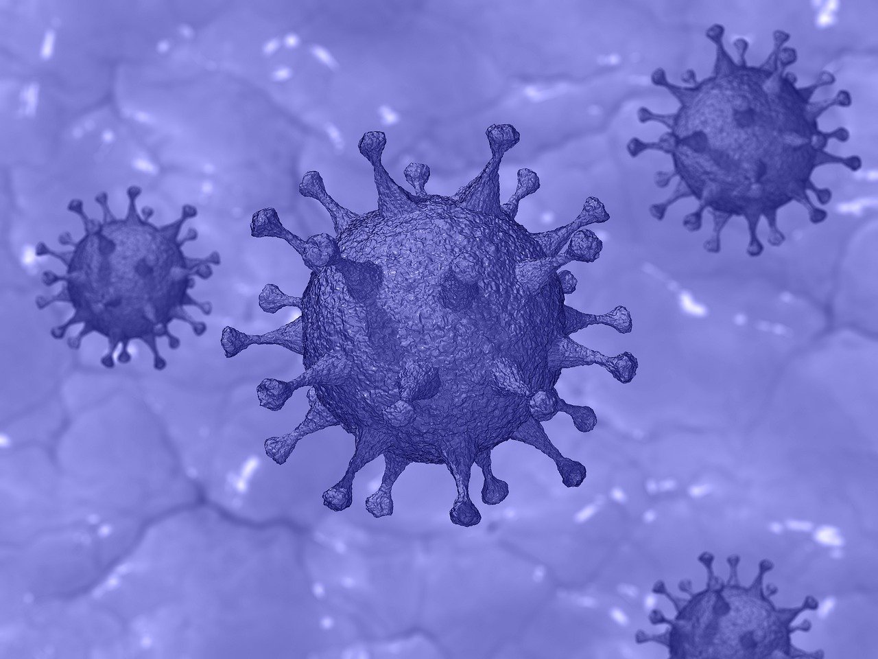 CC-0.https://pixabay.com/illustrations/covid-19-virus-coronavirus-pandemic-4922384/