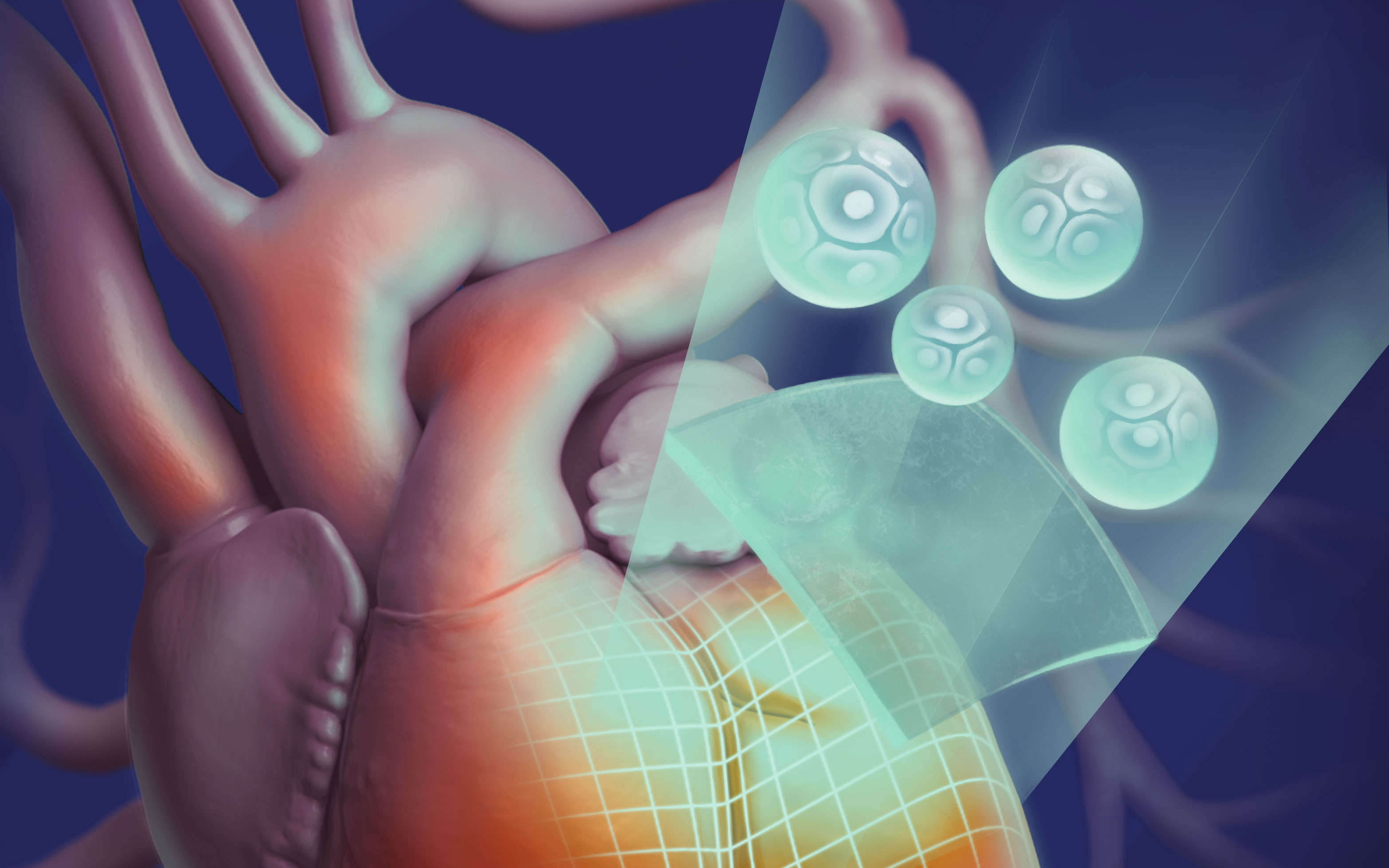 The new technology creates personalised ‘bio-inks’ which are used to 3D-print cardiac tissues to repair areas of dead tissue caused by heart attacks. Graphic art by Leo Herson.