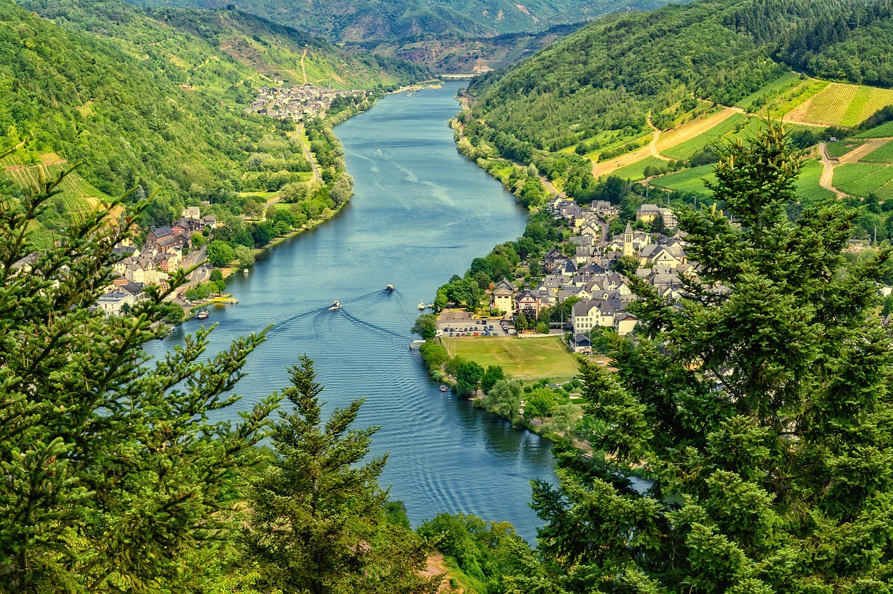 CC-0. https://pixabay.com/photos/river-nature-mosel-view-vineyards-4336788/