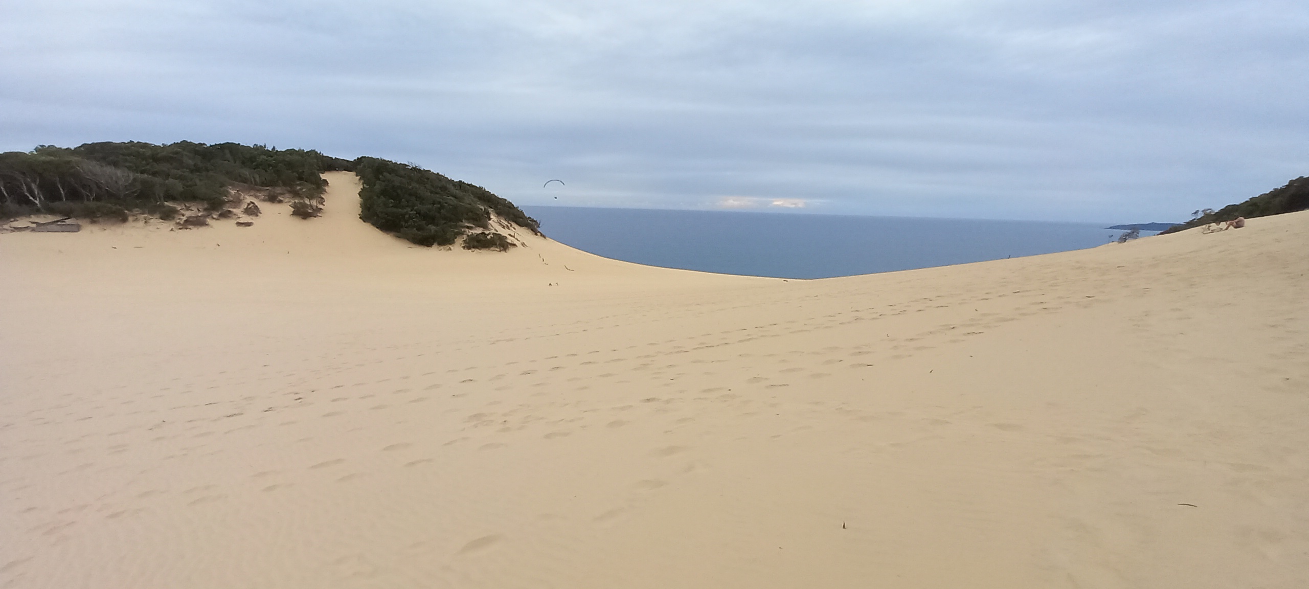Carlo Sandblow within Cooloola National Park, Queensland. Credit: Orpheus Butler