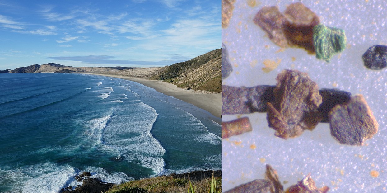 The microplastics found on a Waikato beach. Photos from study: de Lena et al. (2025)