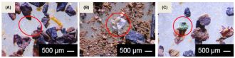 Microplastics
