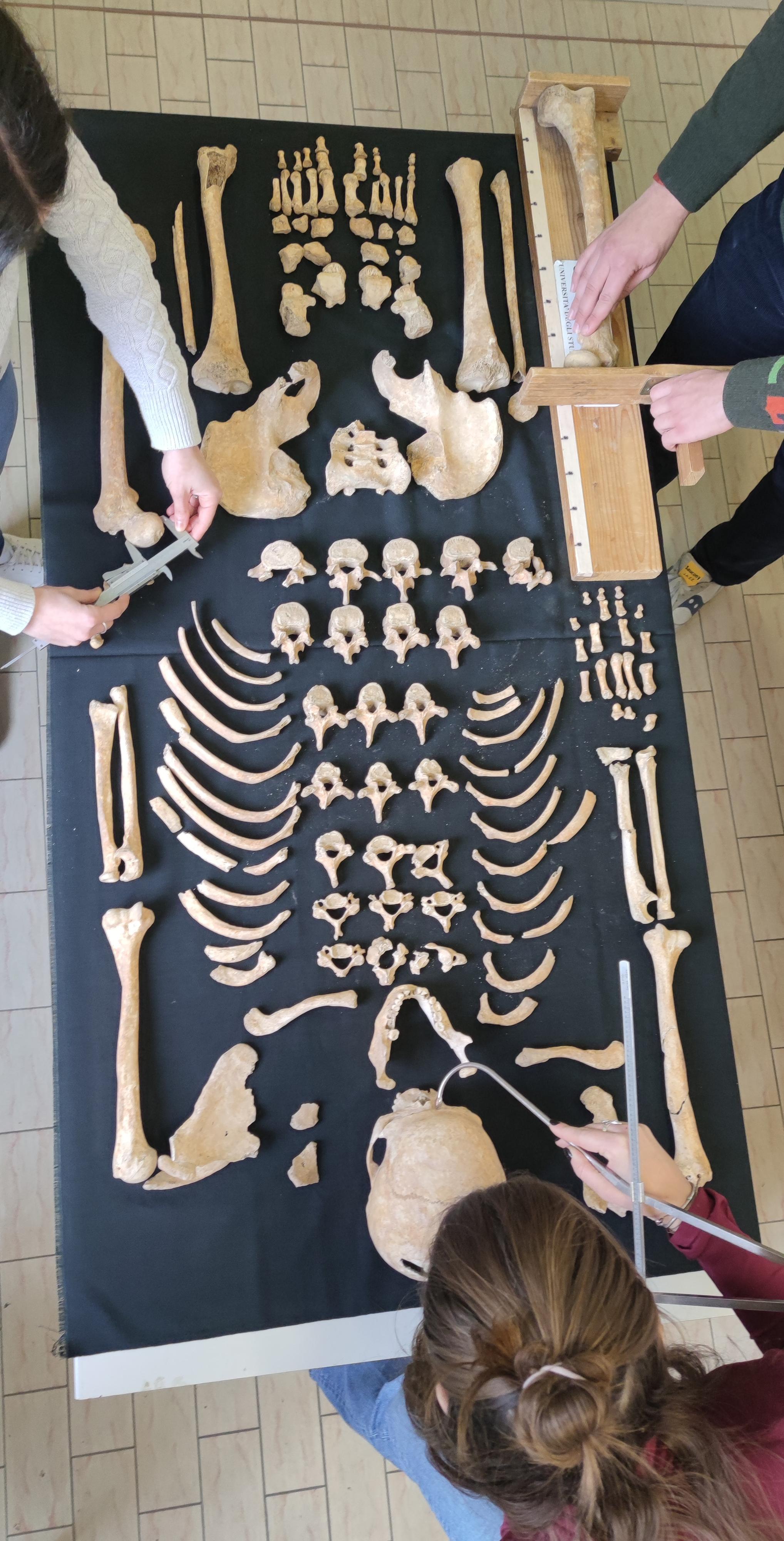 LABANOF anthropologists working on an archaeological skeleton of the CAL. Credit: Lucie Biehler-Gomez.