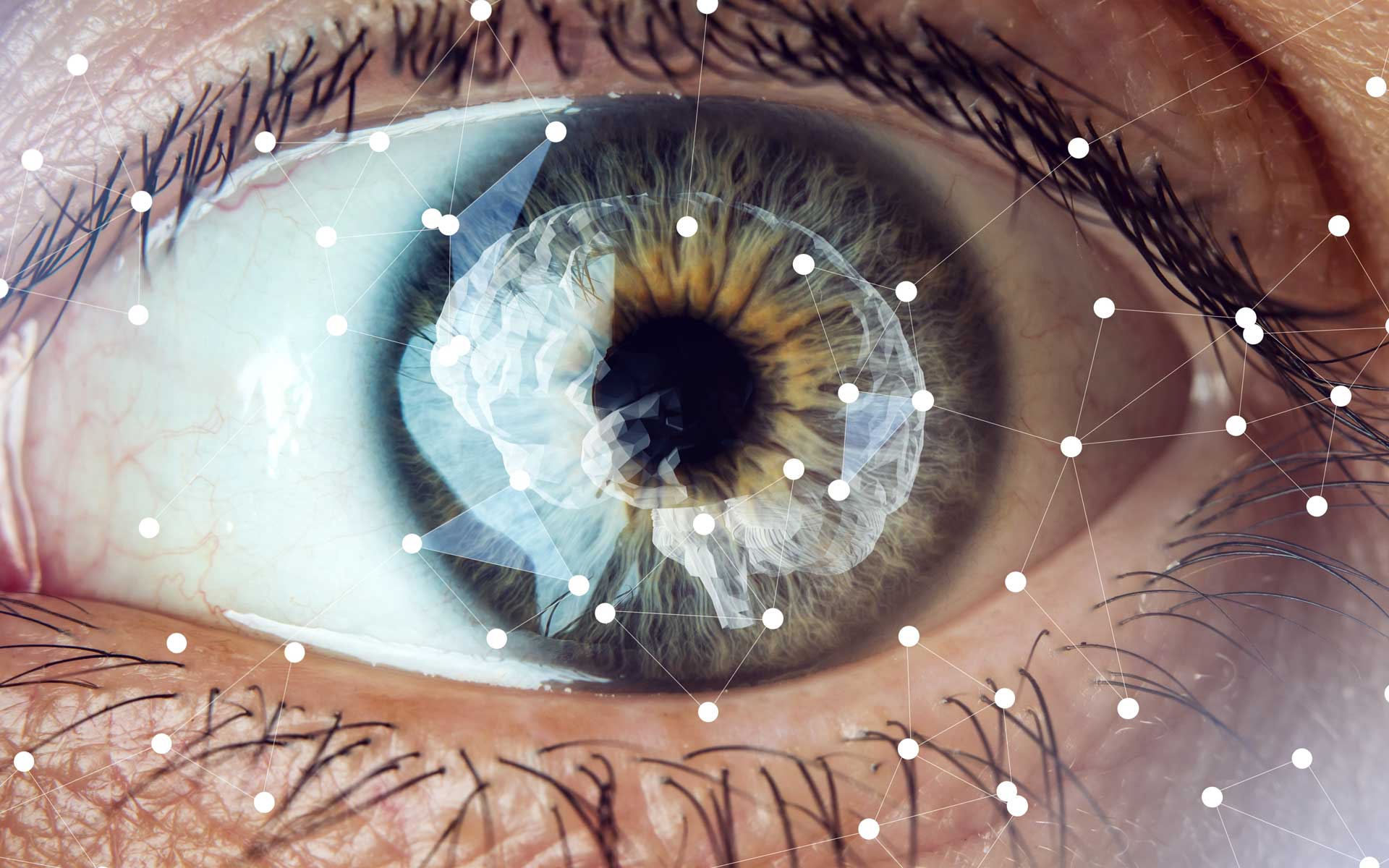 Until now, scientists have been unsure what type of neural activity people with aphantasia have in their primary visual cortex. Photo: Adobe Stock.