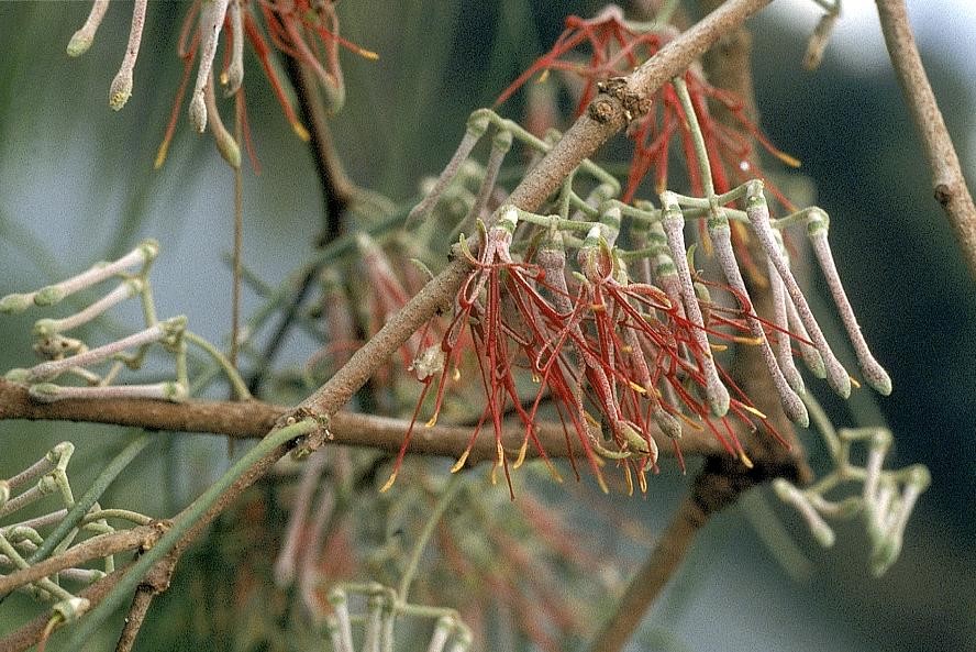 Image credit: David Watson