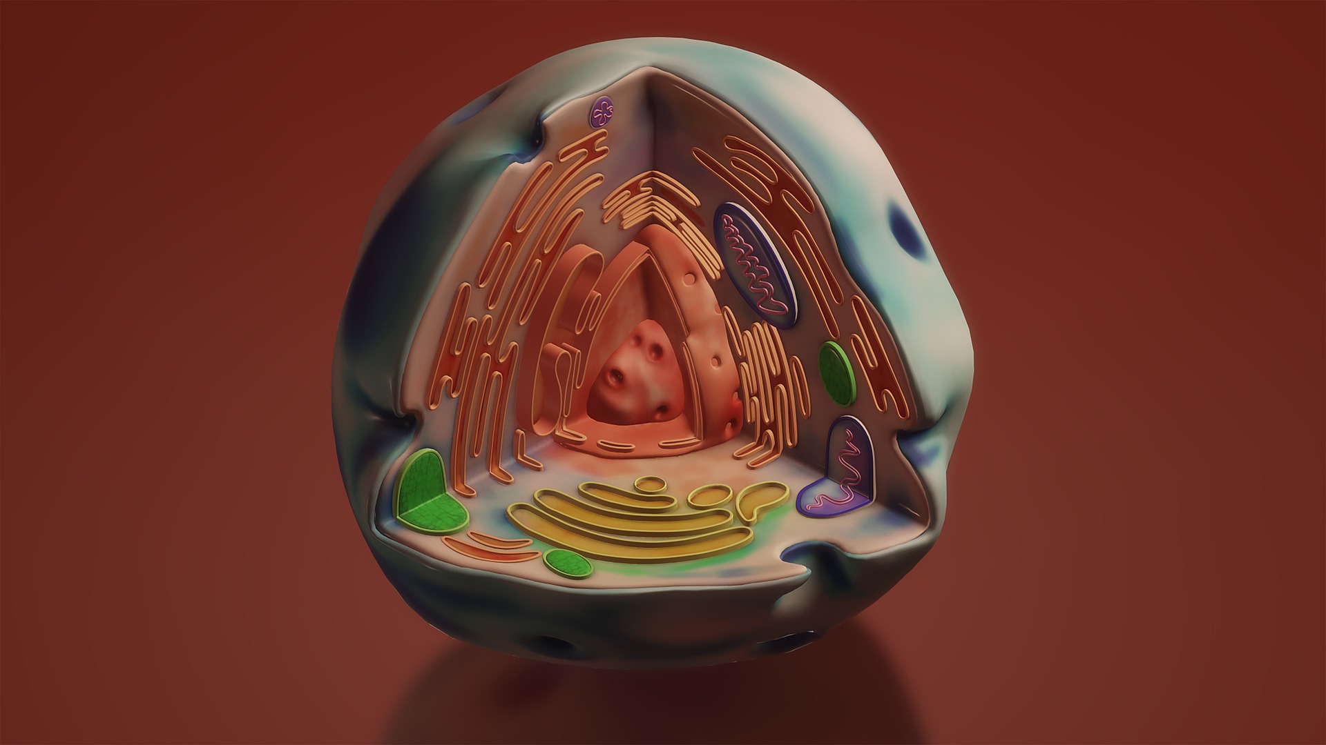 Image by Jo Luijten from Pixabay 