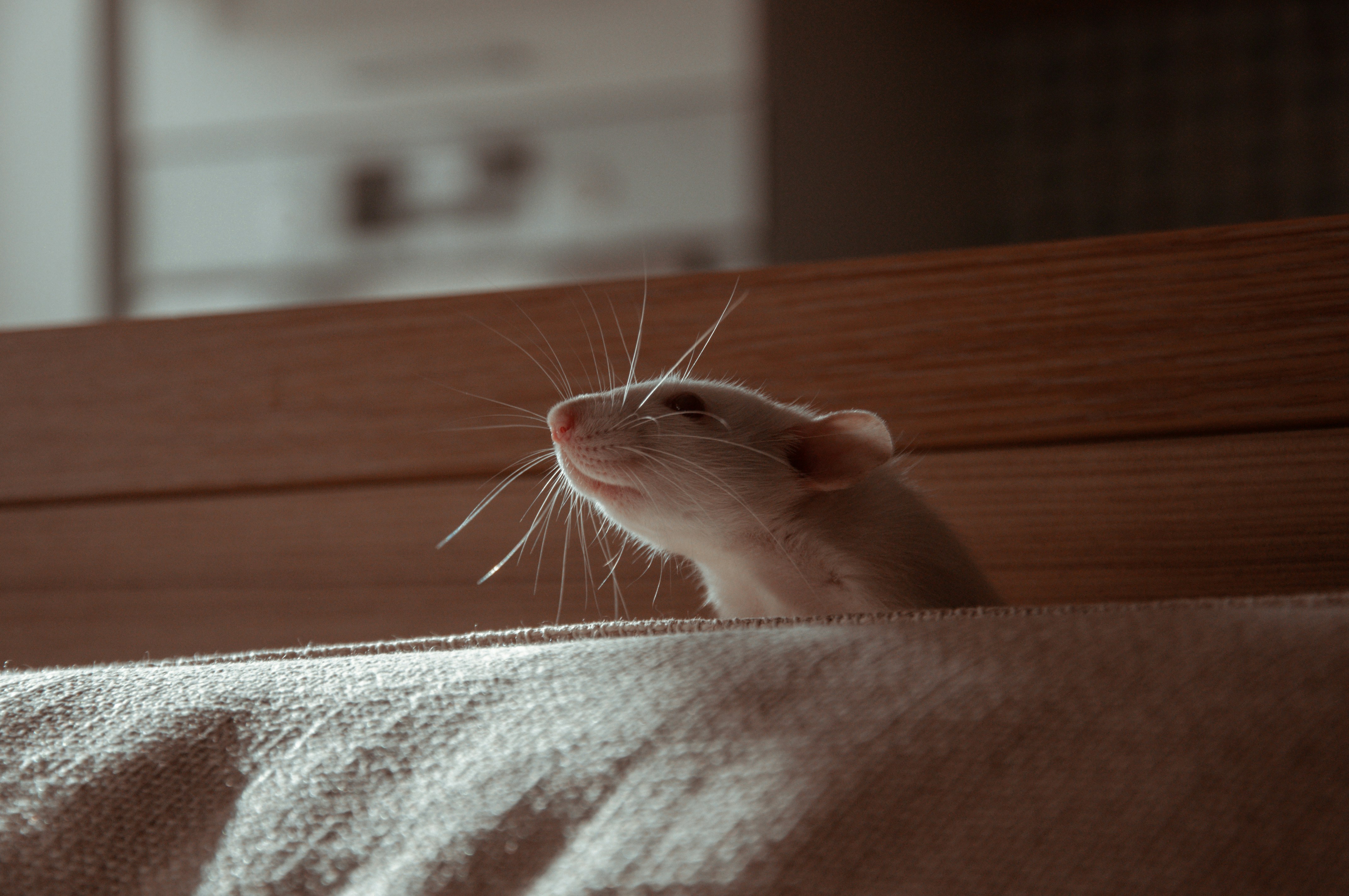Photo by Oxana Golubets on Unsplash