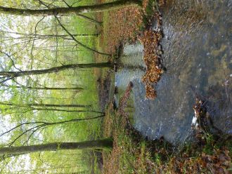 Clauge river flowing 1