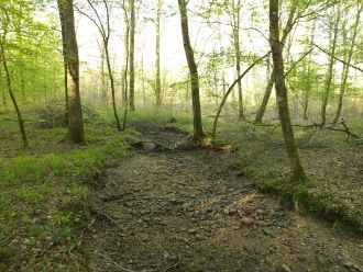 Clauge river non-flowing 1