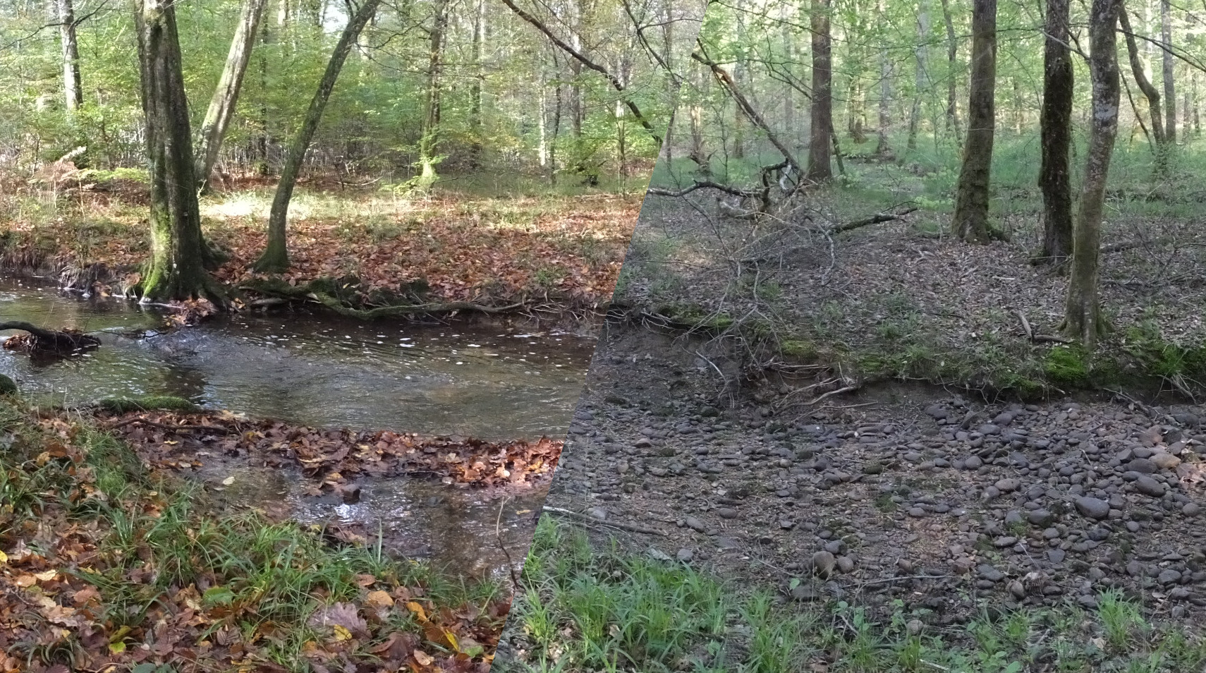 Clauge river (Jura, France). Credits: Bertrand Launay