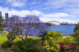 The Royal Botanic Gardens Sydney