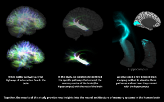 Graphic of the Hippocampus mapping process