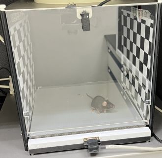 An experimental mouse behaviour box